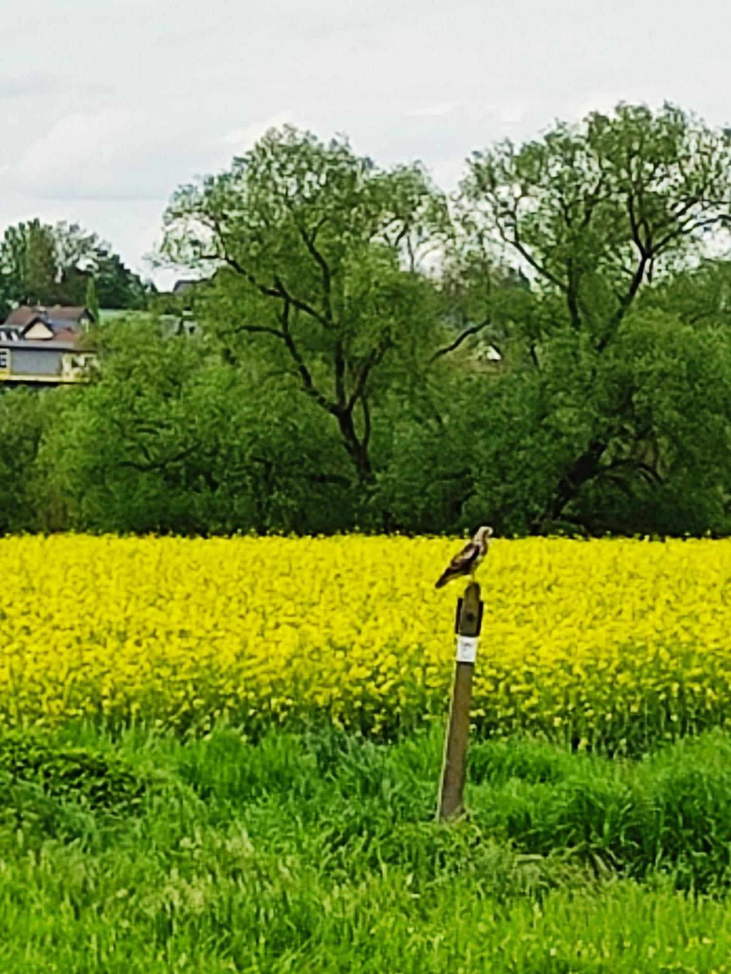 Ferienwohnung An Der Lahn 拉恩河畔林堡 外观 照片